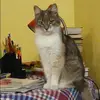 Отзыв от Анфиса Соловьева